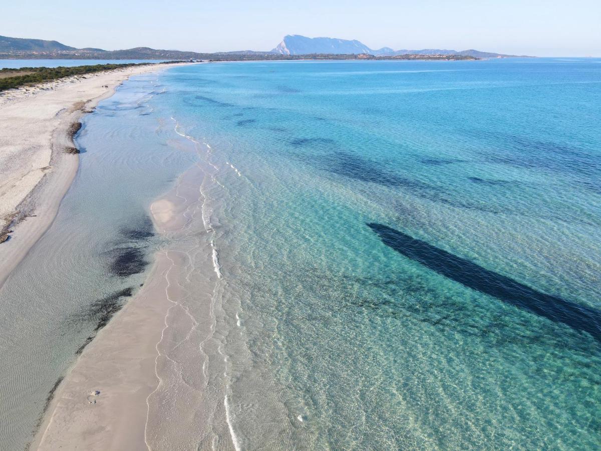 Iss Travel, San Teodoro 1 - 100 M From Cala D'Ambra Beach Exteriér fotografie