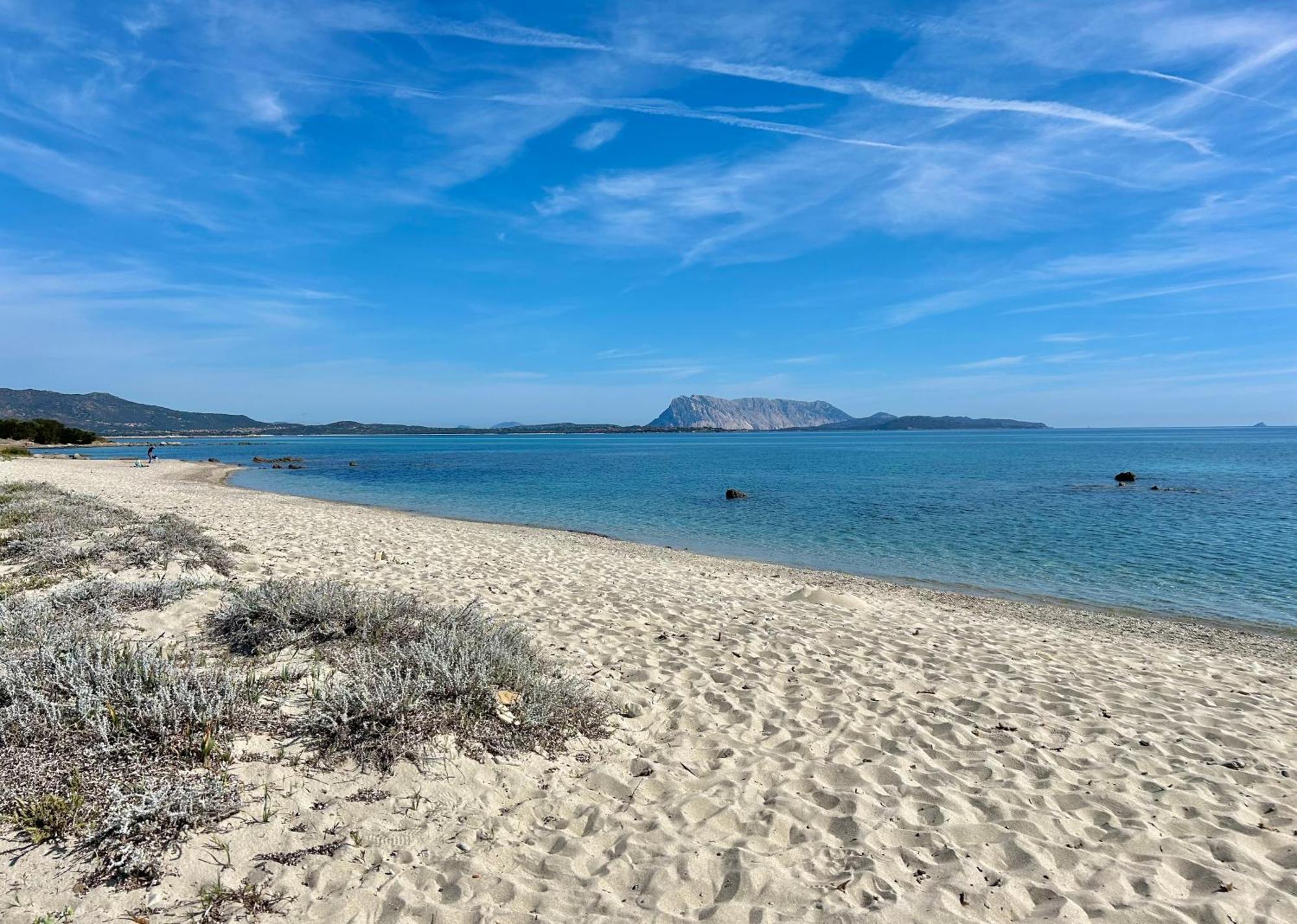 Iss Travel, San Teodoro 1 - 100 M From Cala D'Ambra Beach Exteriér fotografie